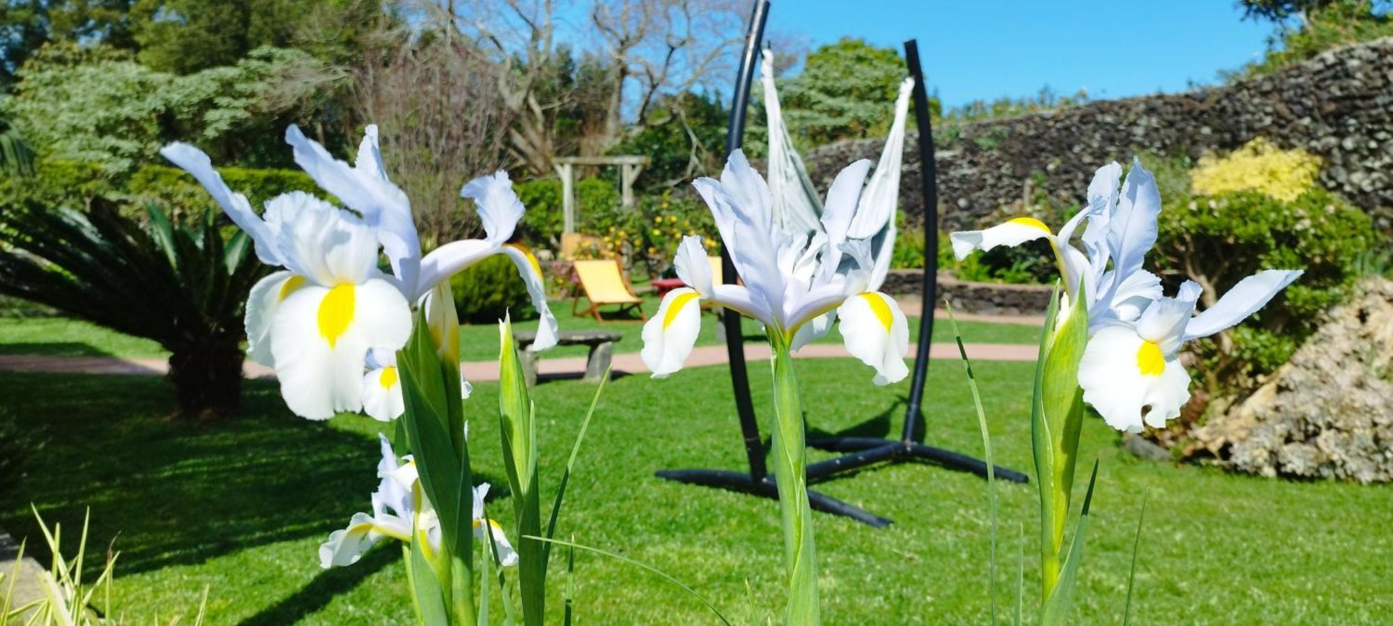 Quinta Dos Sentidos , Rustic Holiday Houses In เซา วิเซนเต เฟอร์เฮรา ภายนอก รูปภาพ
