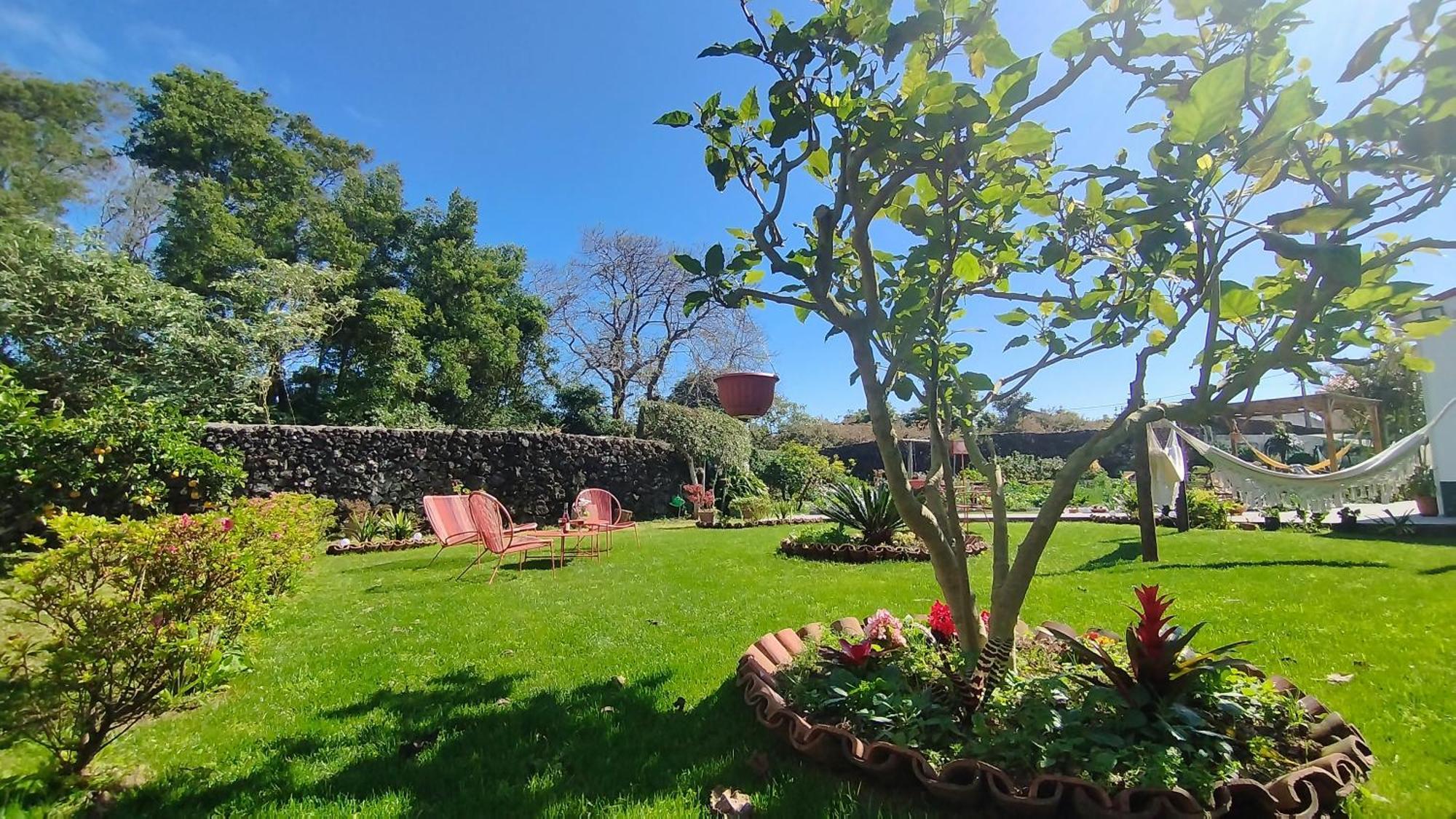 Quinta Dos Sentidos , Rustic Holiday Houses In เซา วิเซนเต เฟอร์เฮรา ภายนอก รูปภาพ