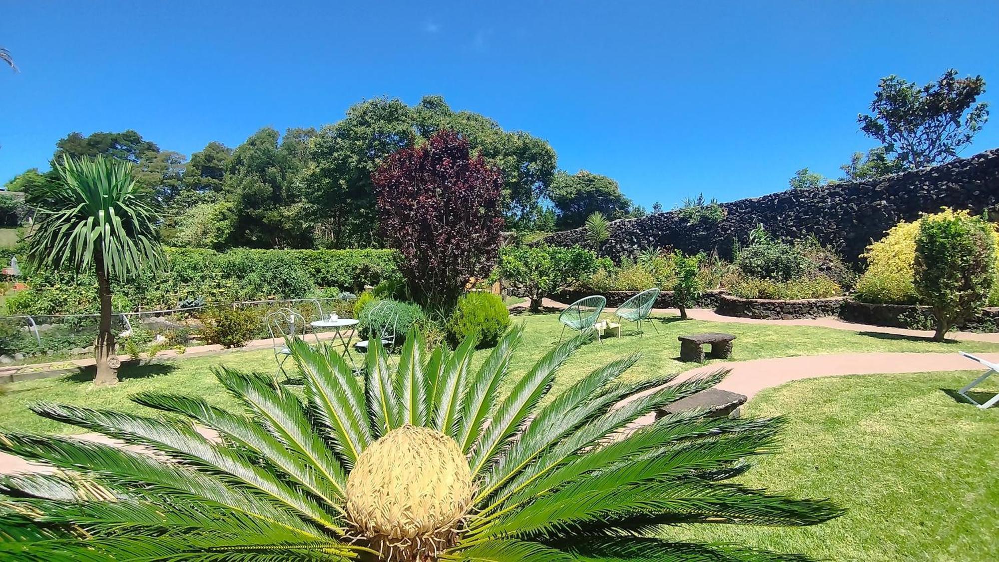 Quinta Dos Sentidos , Rustic Holiday Houses In เซา วิเซนเต เฟอร์เฮรา ภายนอก รูปภาพ