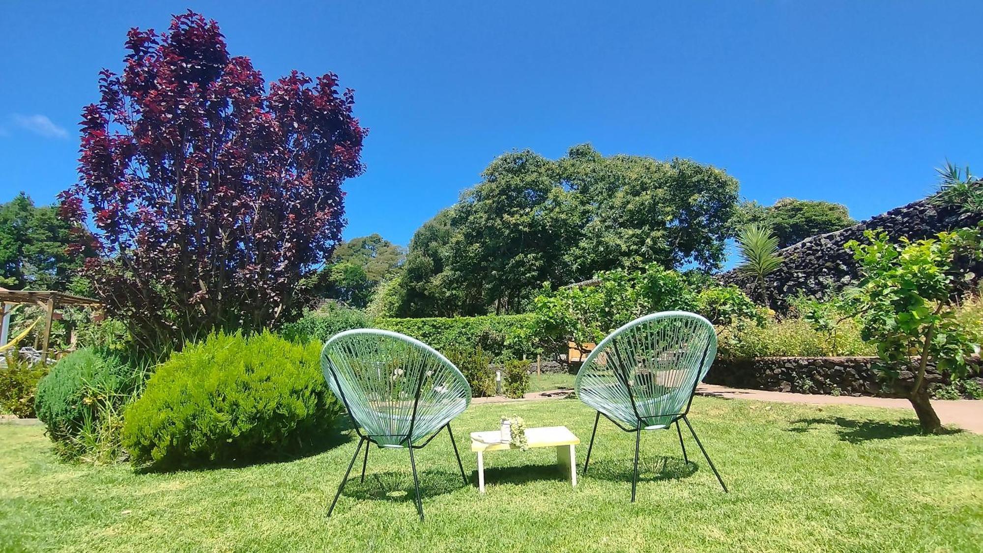 Quinta Dos Sentidos , Rustic Holiday Houses In เซา วิเซนเต เฟอร์เฮรา ภายนอก รูปภาพ