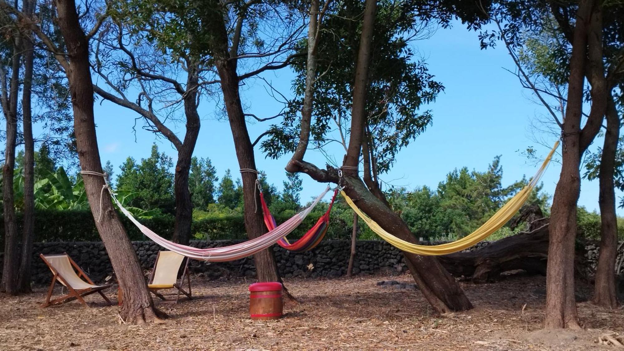 Quinta Dos Sentidos , Rustic Holiday Houses In เซา วิเซนเต เฟอร์เฮรา ภายนอก รูปภาพ