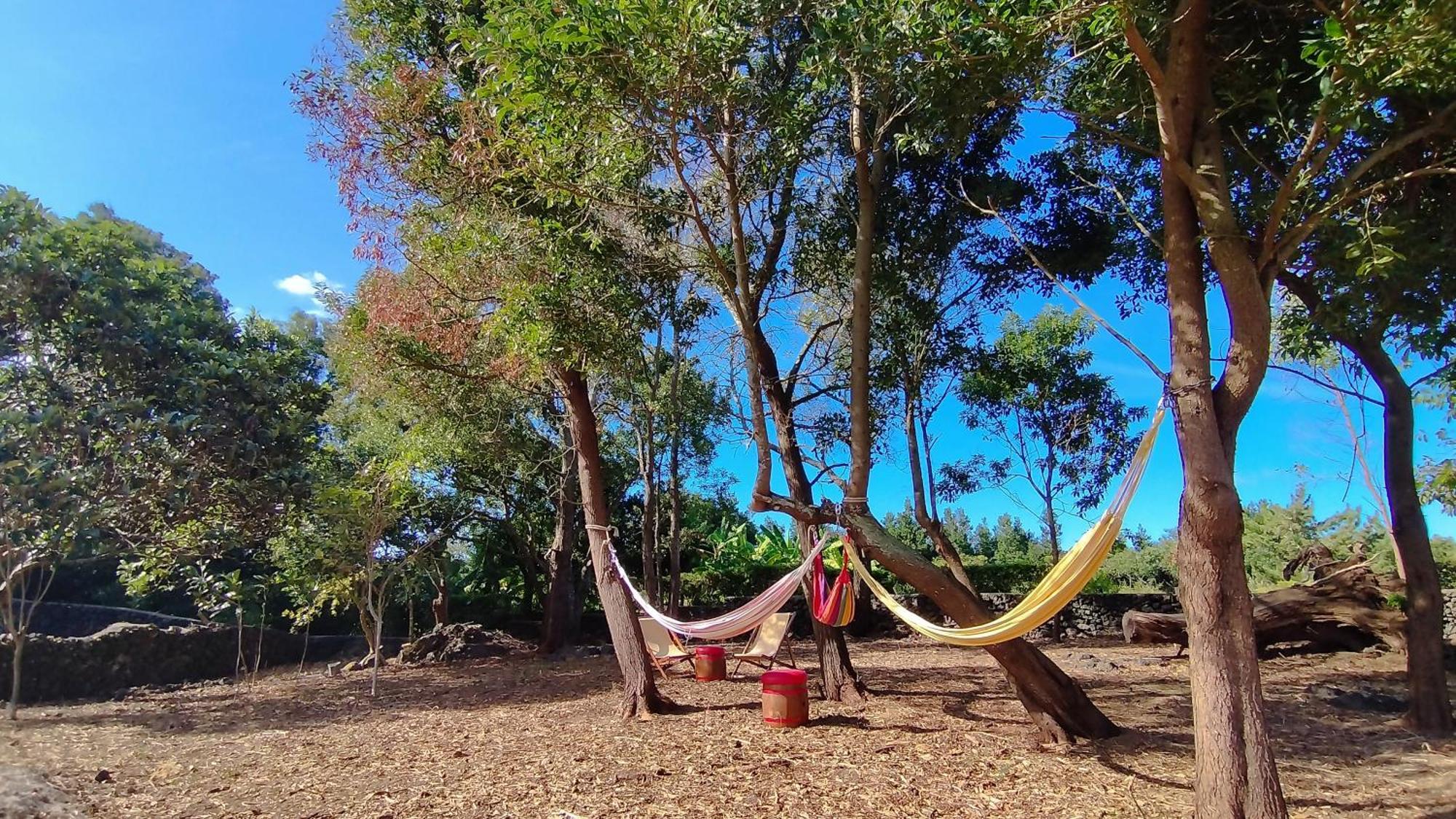 Quinta Dos Sentidos , Rustic Holiday Houses In เซา วิเซนเต เฟอร์เฮรา ภายนอก รูปภาพ