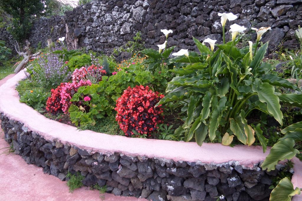 Quinta Dos Sentidos , Rustic Holiday Houses In เซา วิเซนเต เฟอร์เฮรา ภายนอก รูปภาพ